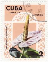 (1974-053) Марка Куба "Антуриум Андре"    Садовые цветы II Θ